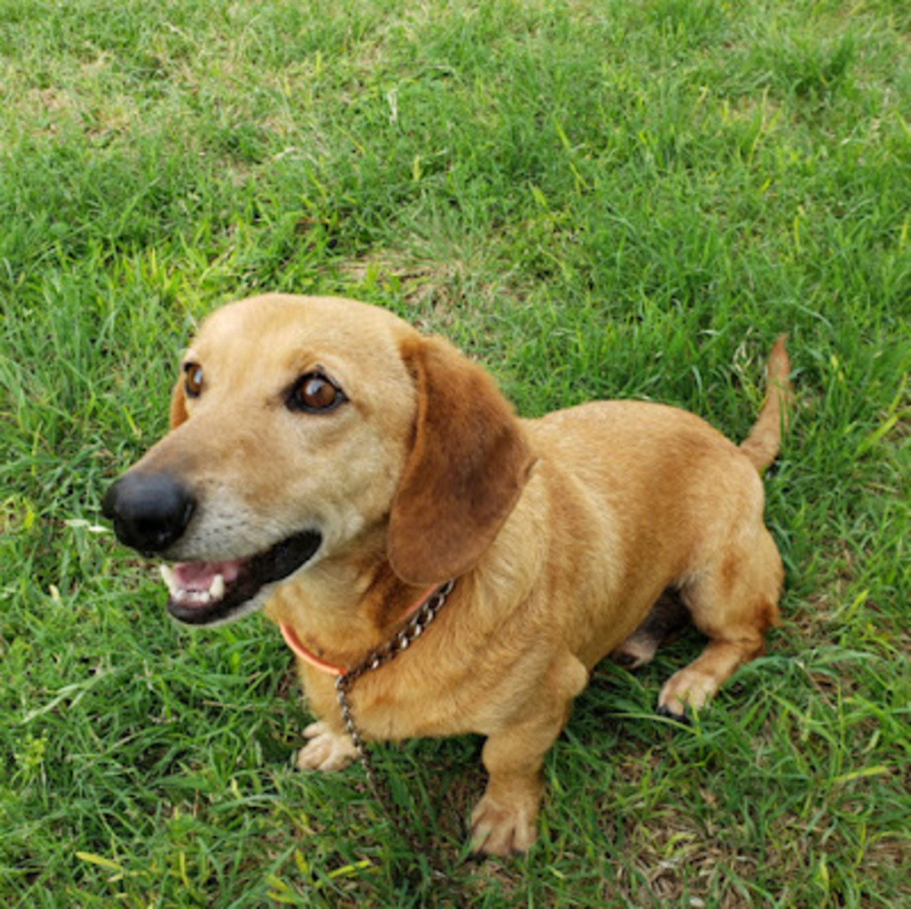 Meet your Posher, Bailee